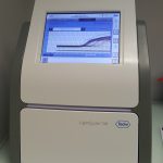 qPCR lightCycler 96 - PCR et PCR quantitative (qPCR ou PCR en temps réel)