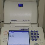 Thermocycleur 384 puits (Eppendorf)